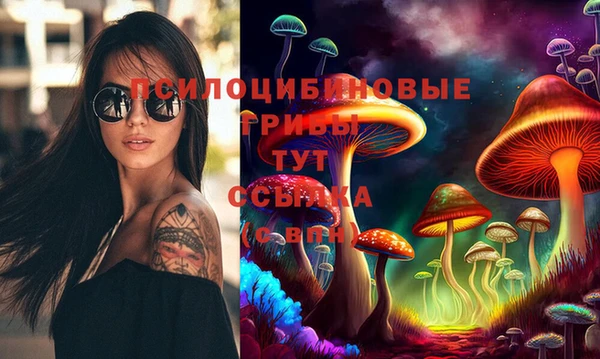 амф Беломорск