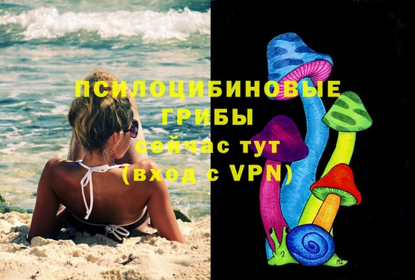 не бодяженный Белокуриха