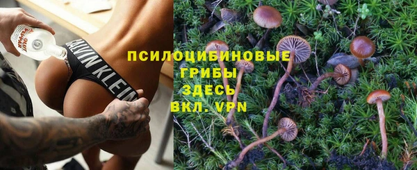 не бодяженный Белокуриха